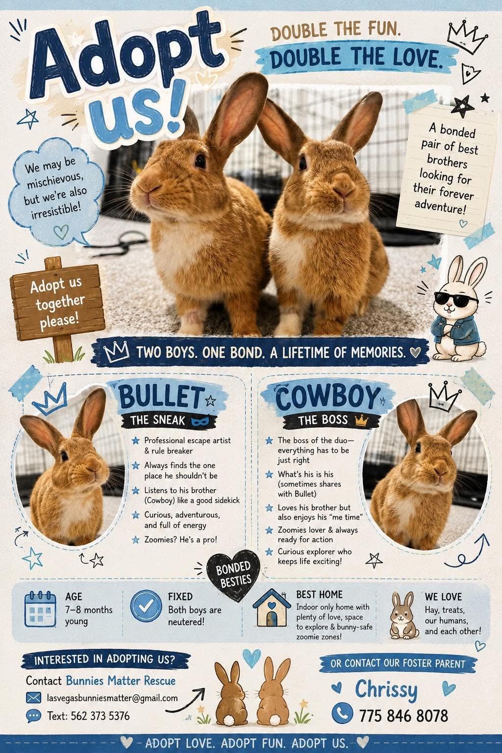 Bullet & Cowboy