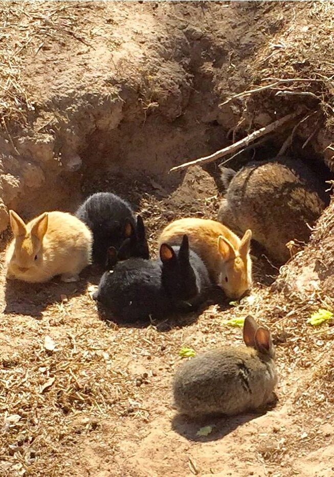 Babies at Dumpsite